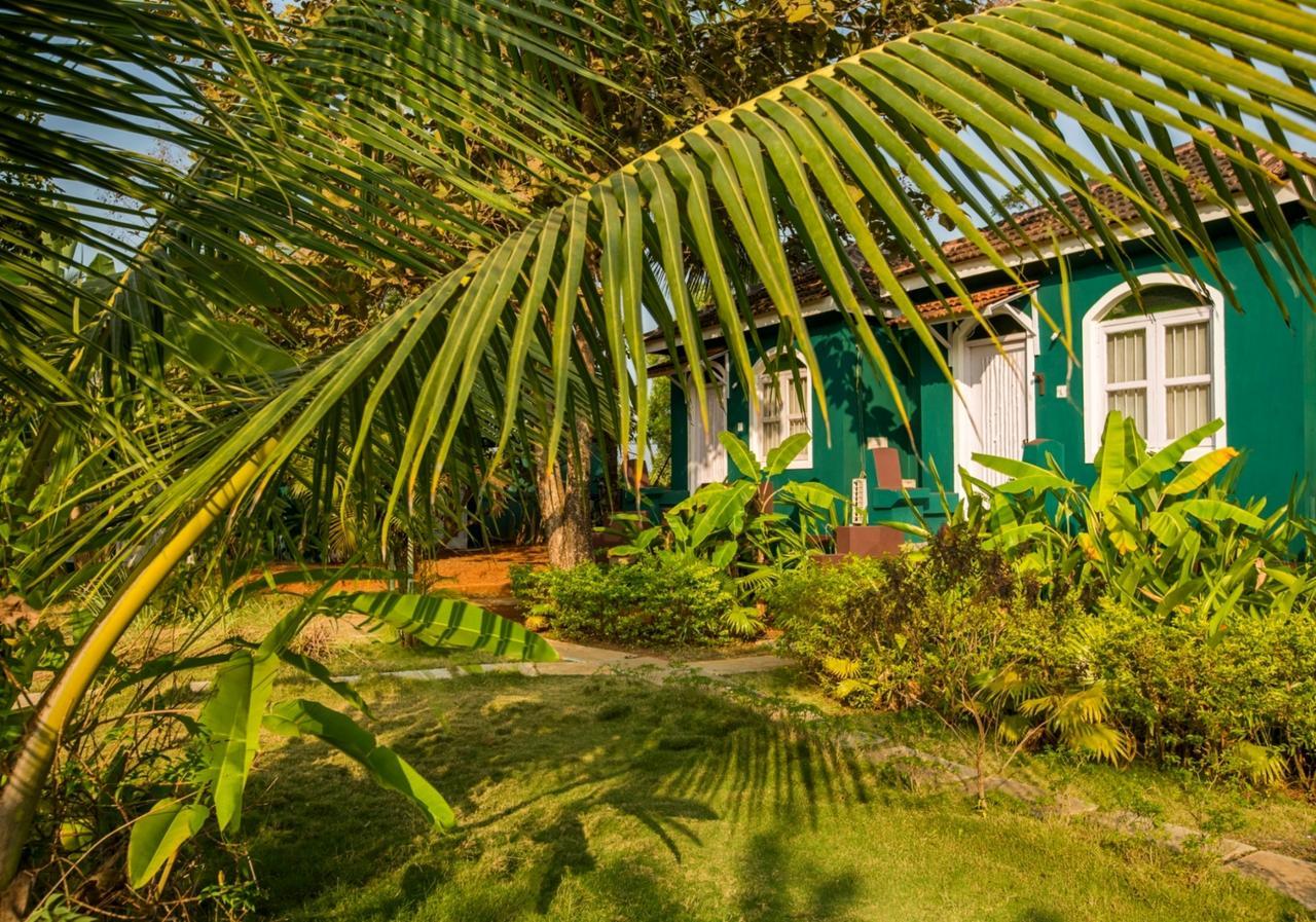 Aquatica Resorts & Spa Morjim Eksteriør billede